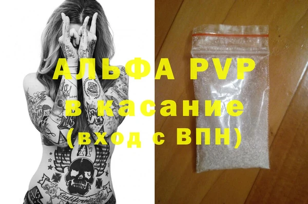 ECSTASY Вяземский